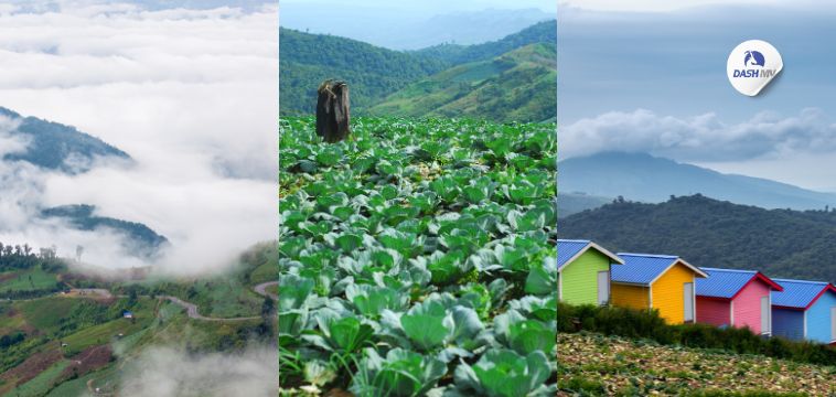 Day03 | เส้นทางท่องเที่ยวเพชรบูรณ์ 3 วัน 2 คืน