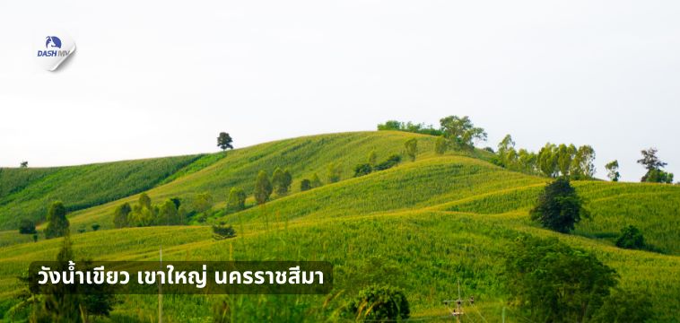 วังน้ำเขียว เขาใหญ่ นครราชสีมา - ที่เที่ยวปีใหม่