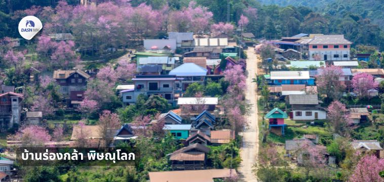 บ้านร่องกล้า พิษณุโลก - ที่เที่ยวปีใหม่