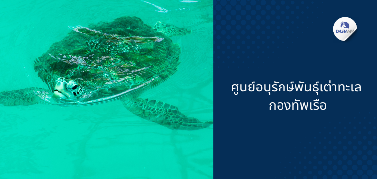 ศูนย์อนุรักษ์พันธุ์เต่าทะเล กองทัพเรือ