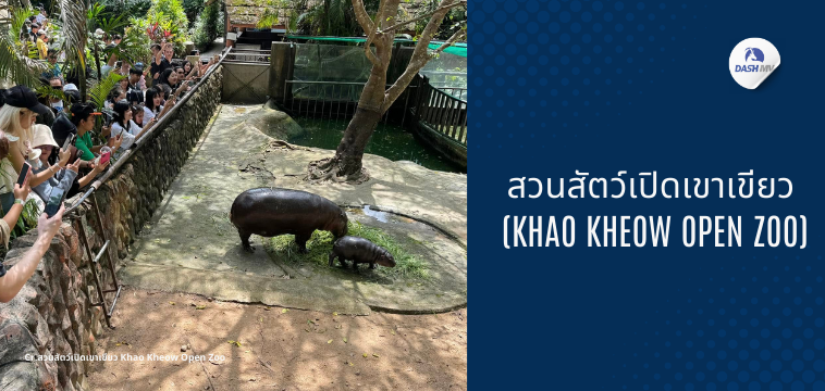 ที่เที่ยววันเด็ก 2568 สวนสัตว์เปิดเขาเขียว (Khao Kheow Open Zoo)
