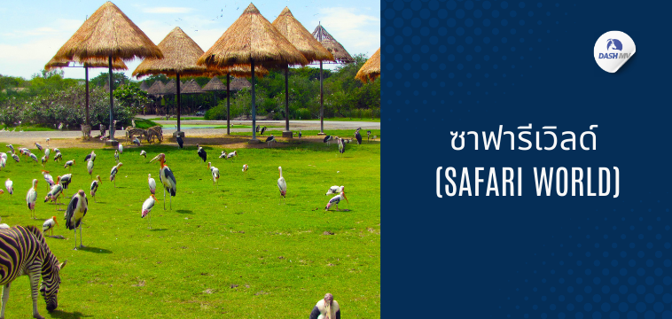 พิกัดสถานที่เที่ยววันเด็กปี 2568 - ซาฟารีเวิลด์ (Safari World)