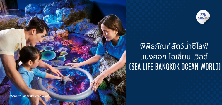 พิกัดสถานที่เที่ยววันเด็กปี 2568 - พิพิธภัณฑ์สัตว์น้ำซีไลฟ์ แบงคอก โอเชี่ยน เวิลด์