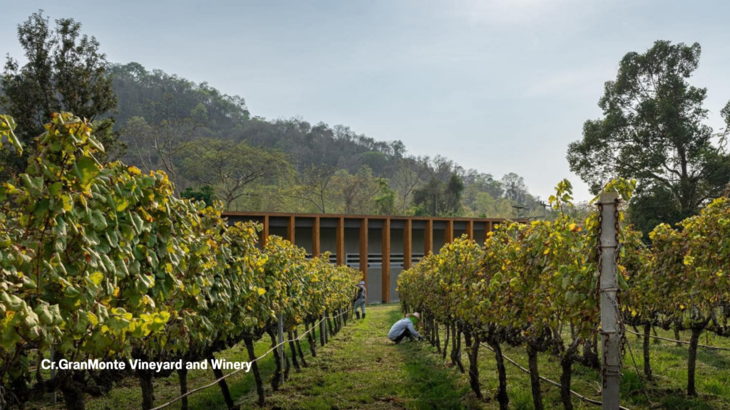 ไร่องุ่นกราน-มอนเต้ GranMonte Vineyard and Winery