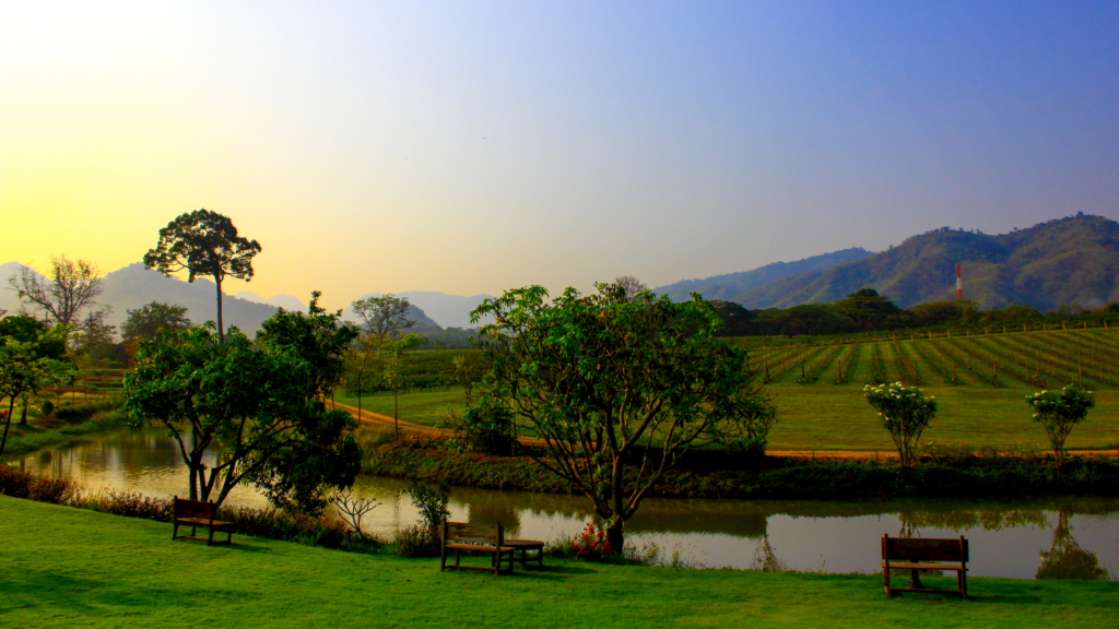 ไร่องุ่นพีบี วัลเล่ย์ เขาใหญ่ PB Valley Khao Yai Winery