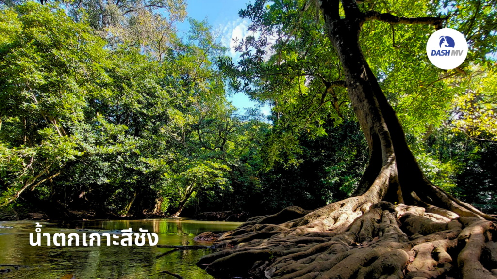 น้ำตกเกาะสีชัง