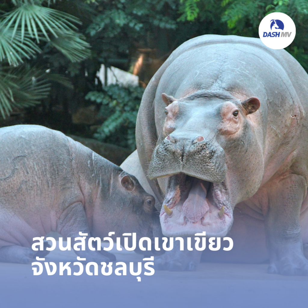 สวนสัตว์เปิดเขาเขียว จังหวัดชลบุรี