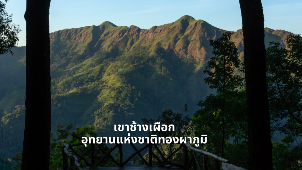 เขาช้างเผือก อุทยานแห่งชาติทองผาภูมิ กาญจนบุรี