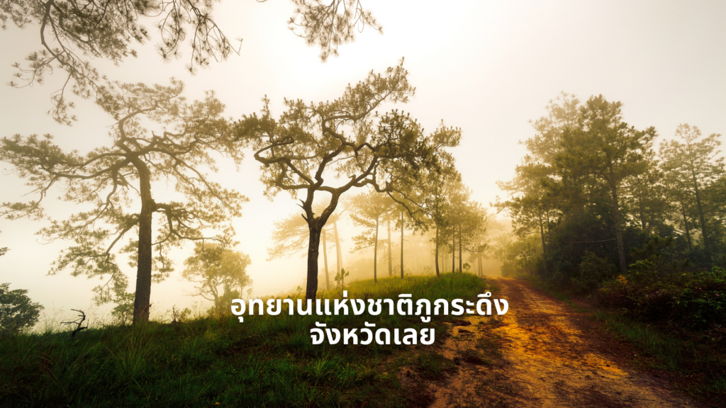 ภูกระดึง อุทยานแห่งชาติภูกระดึง เลย