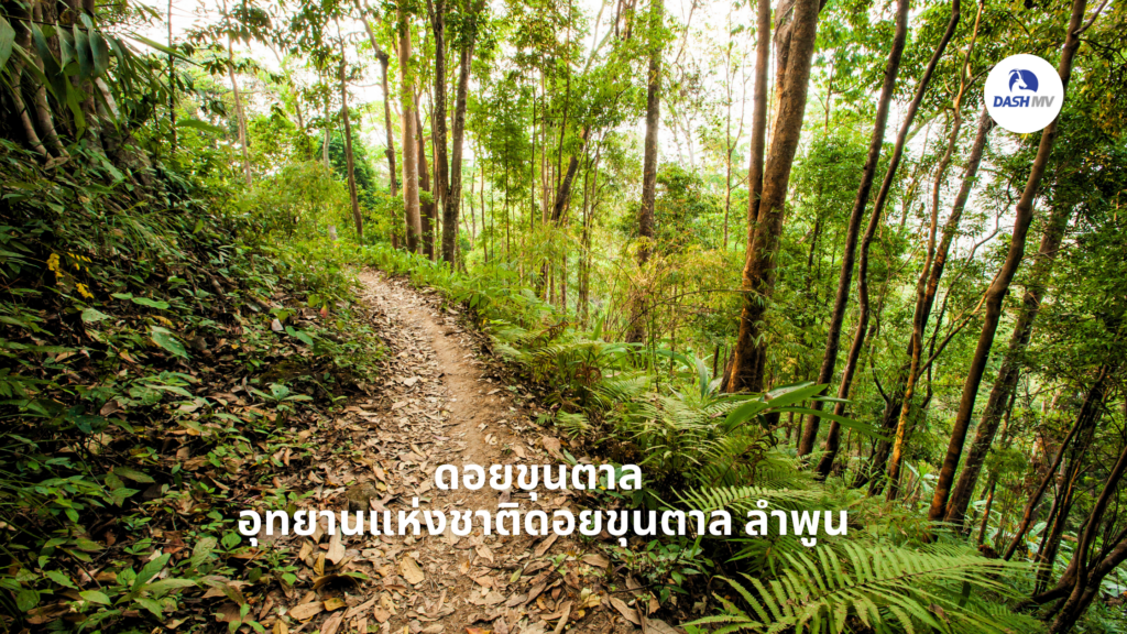 ดอยขุนตาล อุทยานแห่งชาติดอยขุนตาล ลำพูน