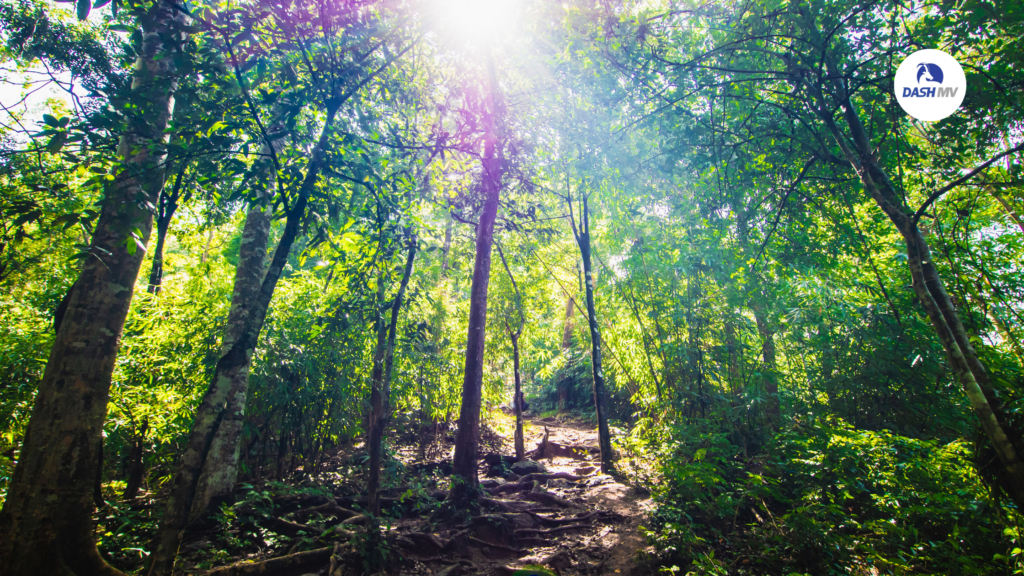 เขาหลวงสุโขทัย
