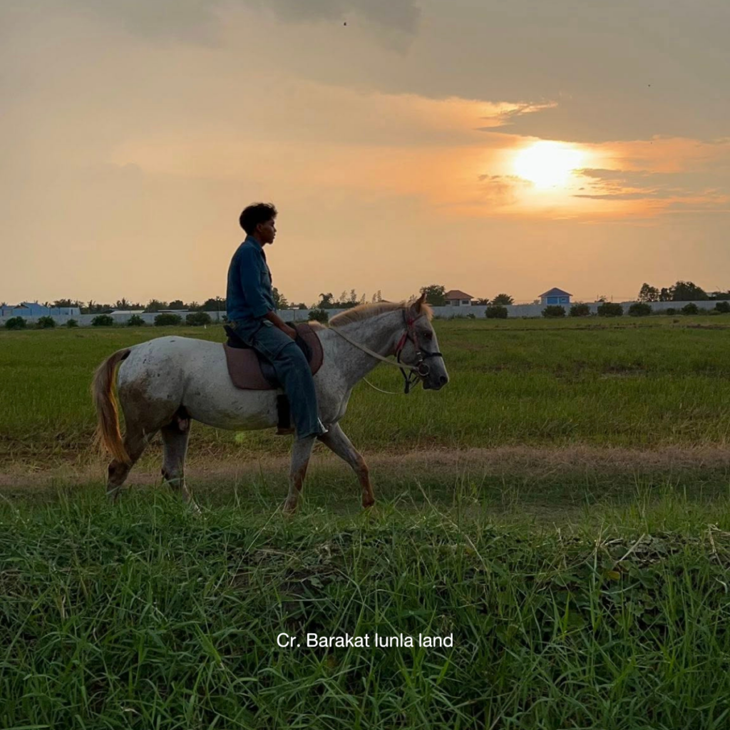 Barakat lunla land บารอกัต ลั้นลาแลนด์