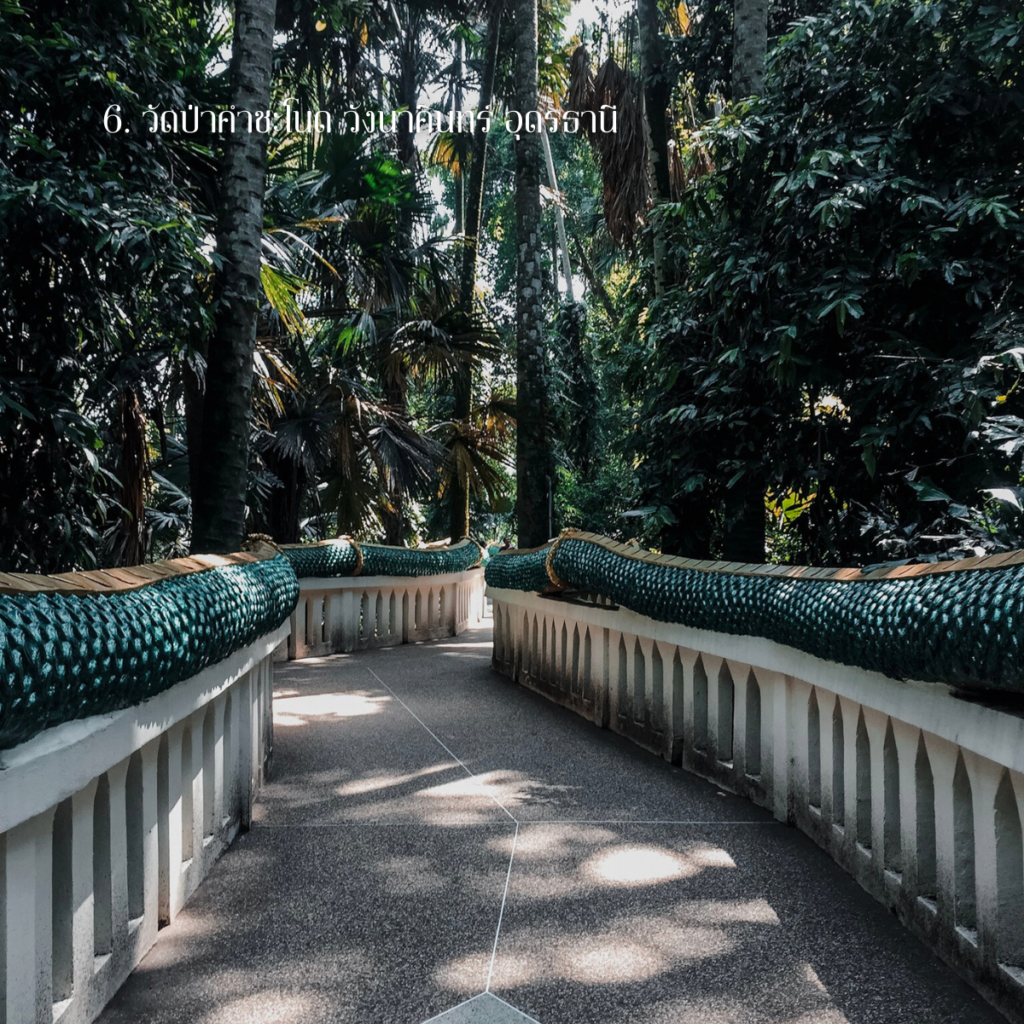 วัดป่าคำชะโนด วังนาคินทร์ อุดรธานี