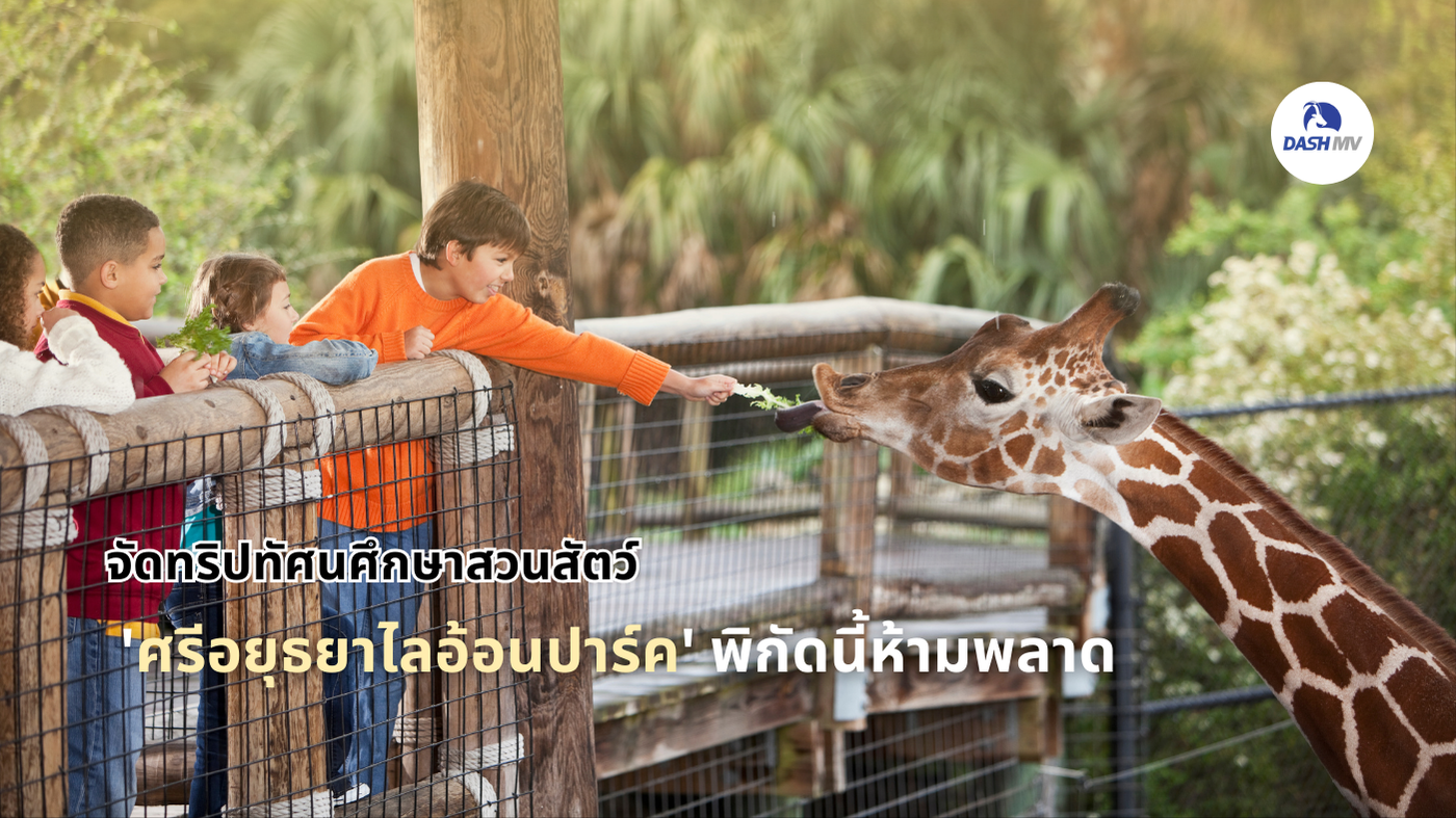ศรีอยุธยาไลอ้อนปาร์ค