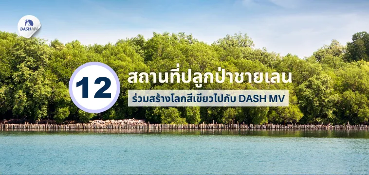 รวม 12 สถานที่ปลูกป่าชายเลน ร่วมสร้างโลกสีเขียวไปกับ DASH MV