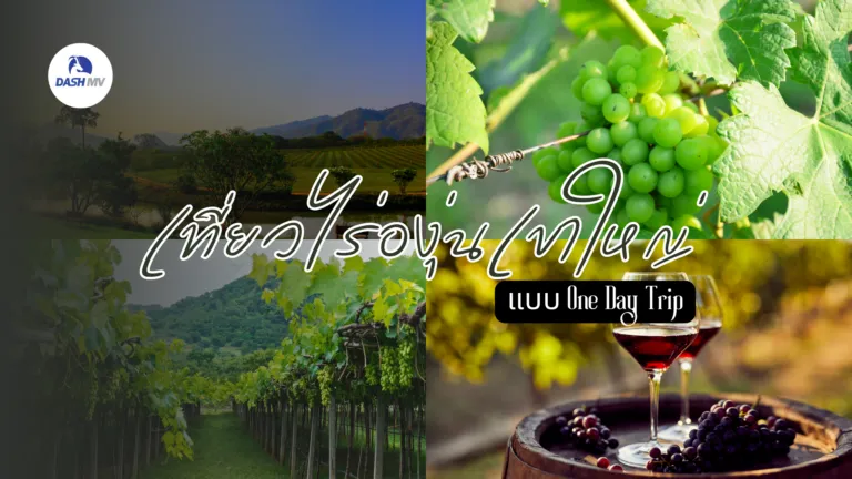 พิกัด 5 ที่เที่ยวไร่องุ่นเขาใหญ่ One Day Trip