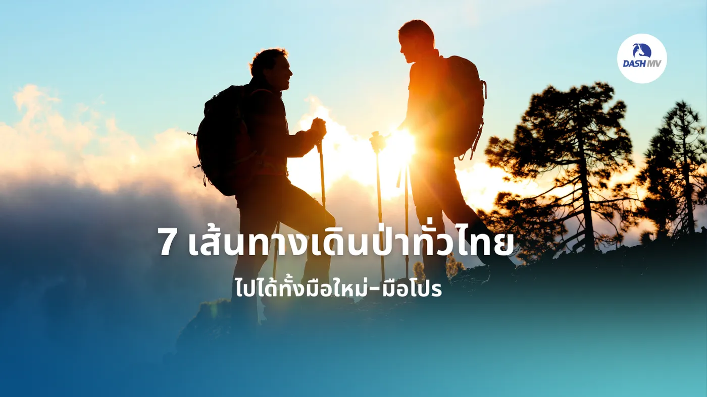 เดินป่าที่ไหนดี? พิกัด 7 เส้นทางเดินป่าทั่วไทย ปี 2026