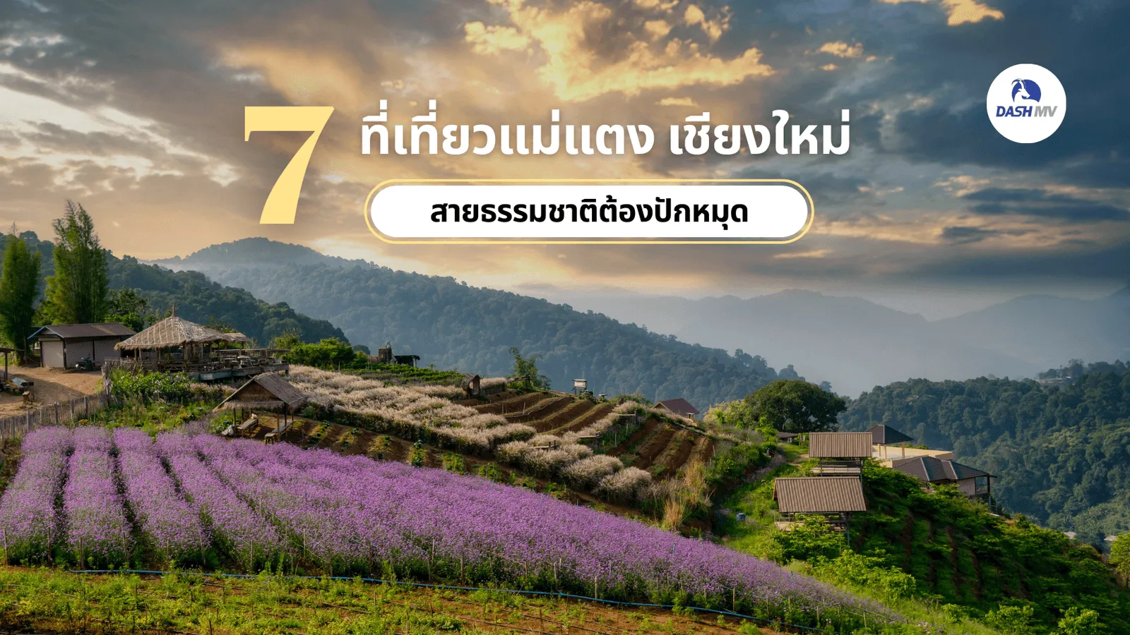 ที่เที่ยวแม่แตง เชียงใหม่