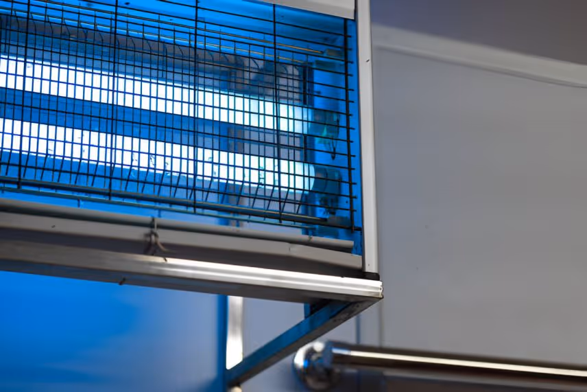 Blue electric insect killer lamp with metal grid on industrial wall