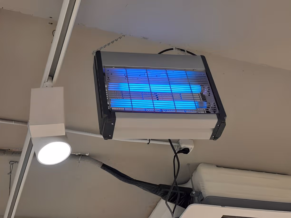 UV Light in Valrico, FL