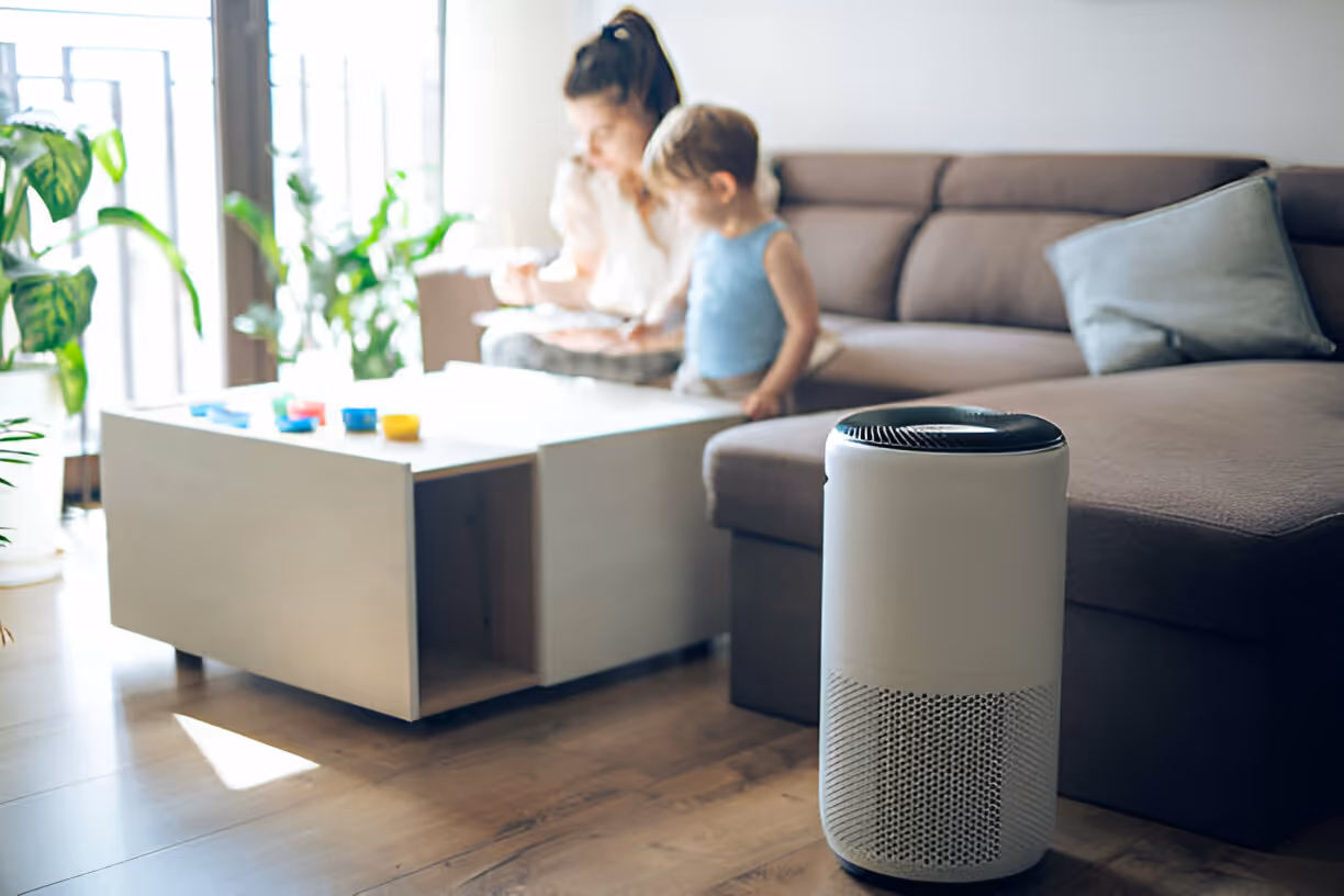 Whole House Air Purification in Ruskin, FL