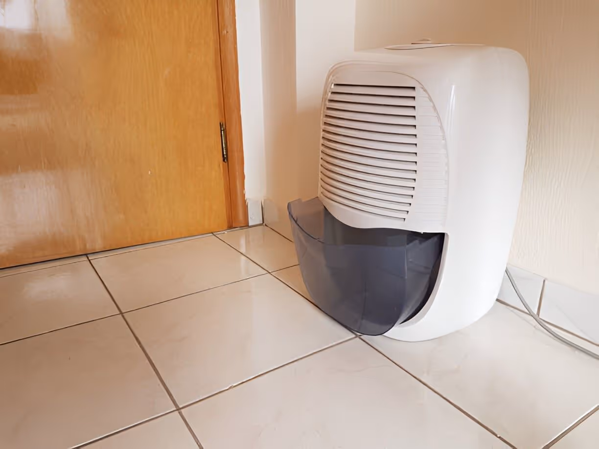 Whole House Dehumidifiers in Plant City, FL