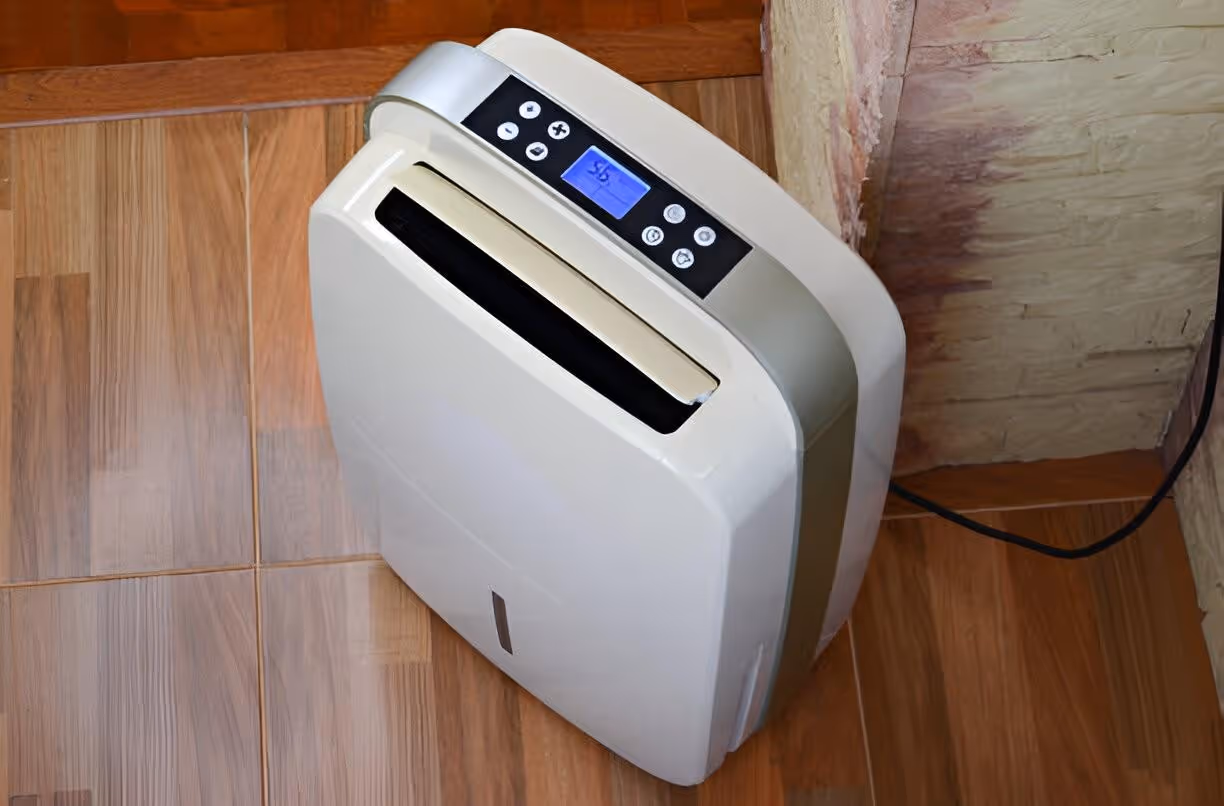 Whole House Dehumidifiers in Apollo Beach, FL