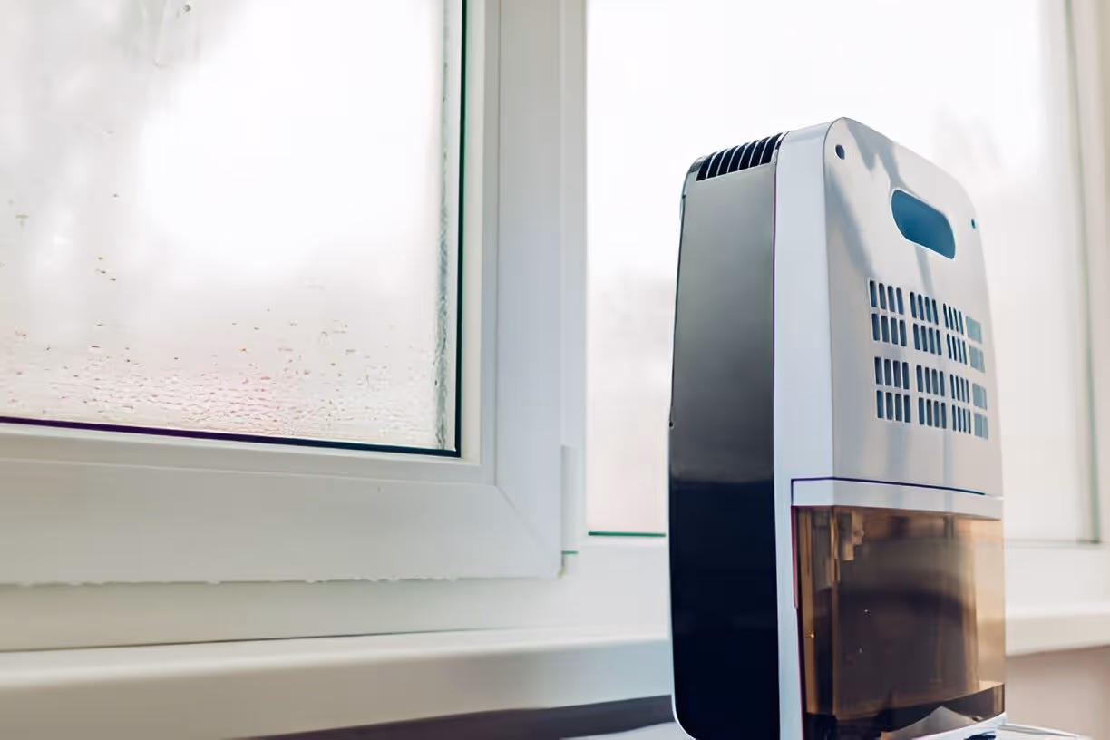 Whole House Dehumidifiers in Auburndale, FL