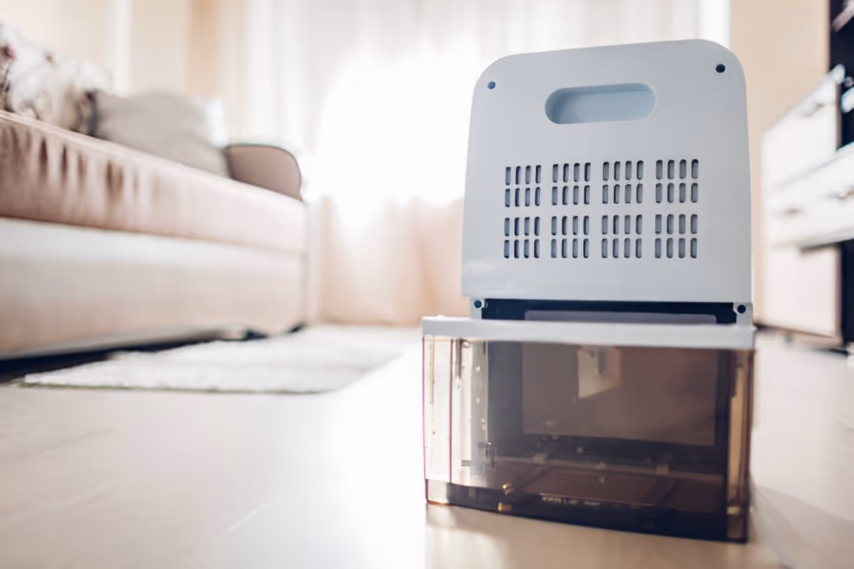 Whole House Dehumidifiers in Lithia, FL