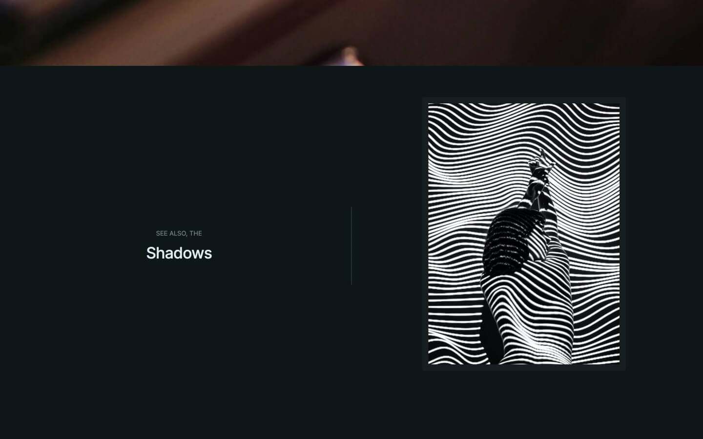 minimal webflow theme for photographers