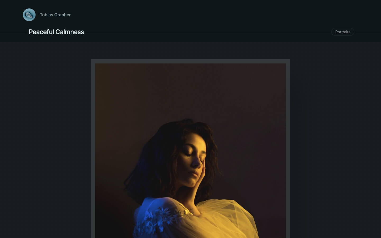 minimal webflow theme for photographers
