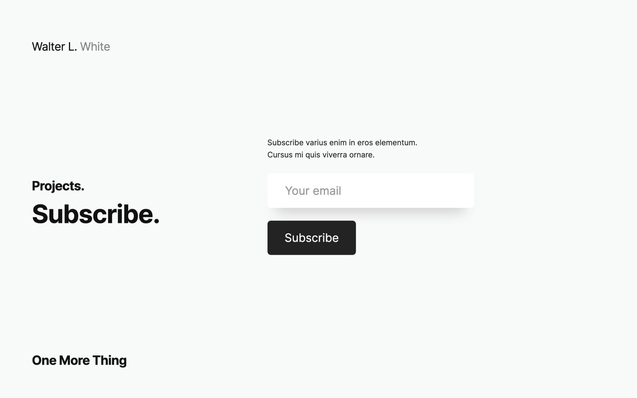 one page minimal creative portfolio webflow theme, subscribe secttion