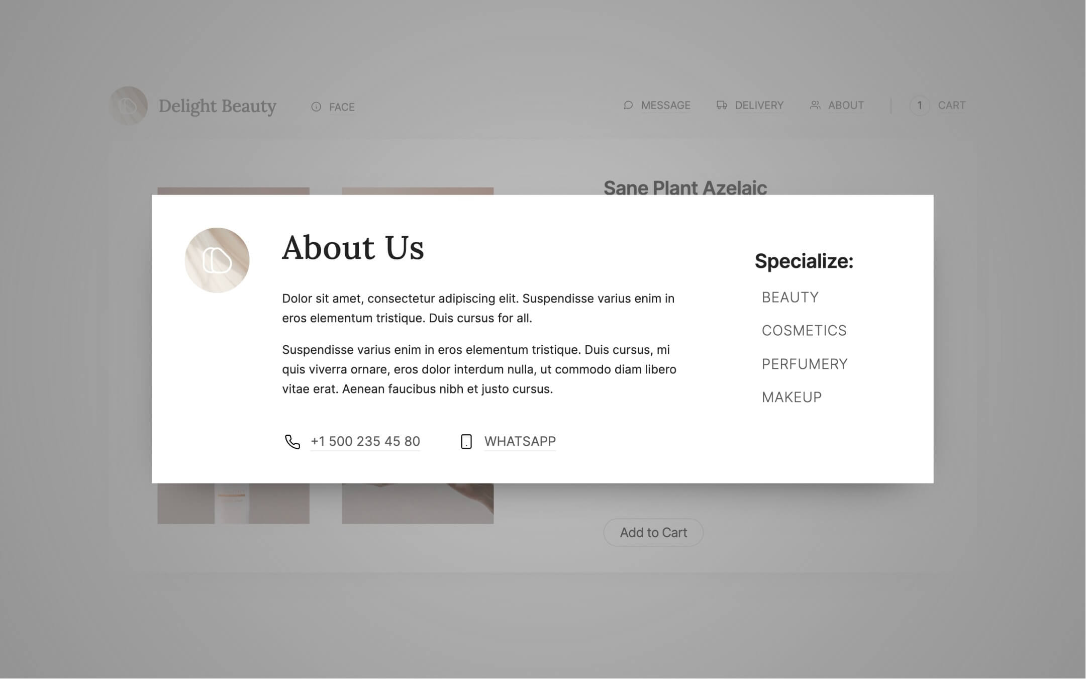 shop webflow template, about popup