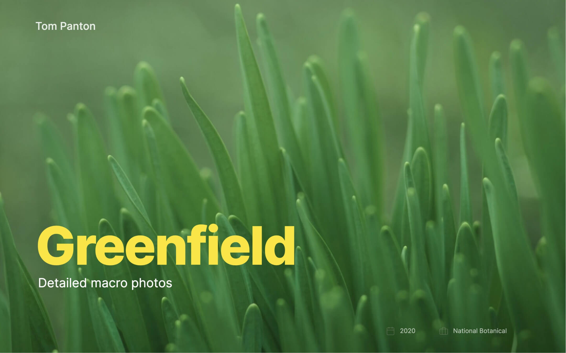 webflow template for photographers