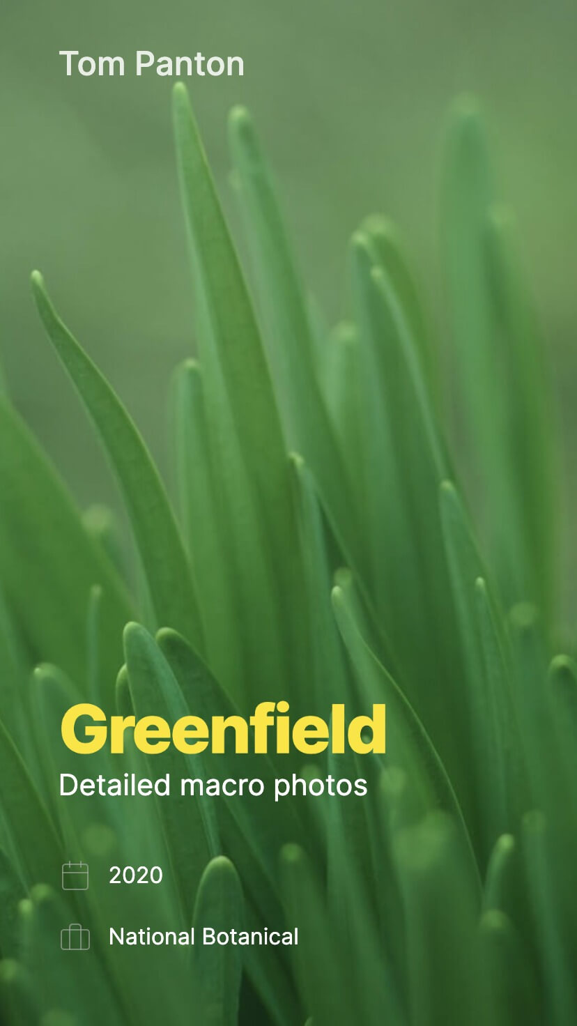 webflow template for photographers