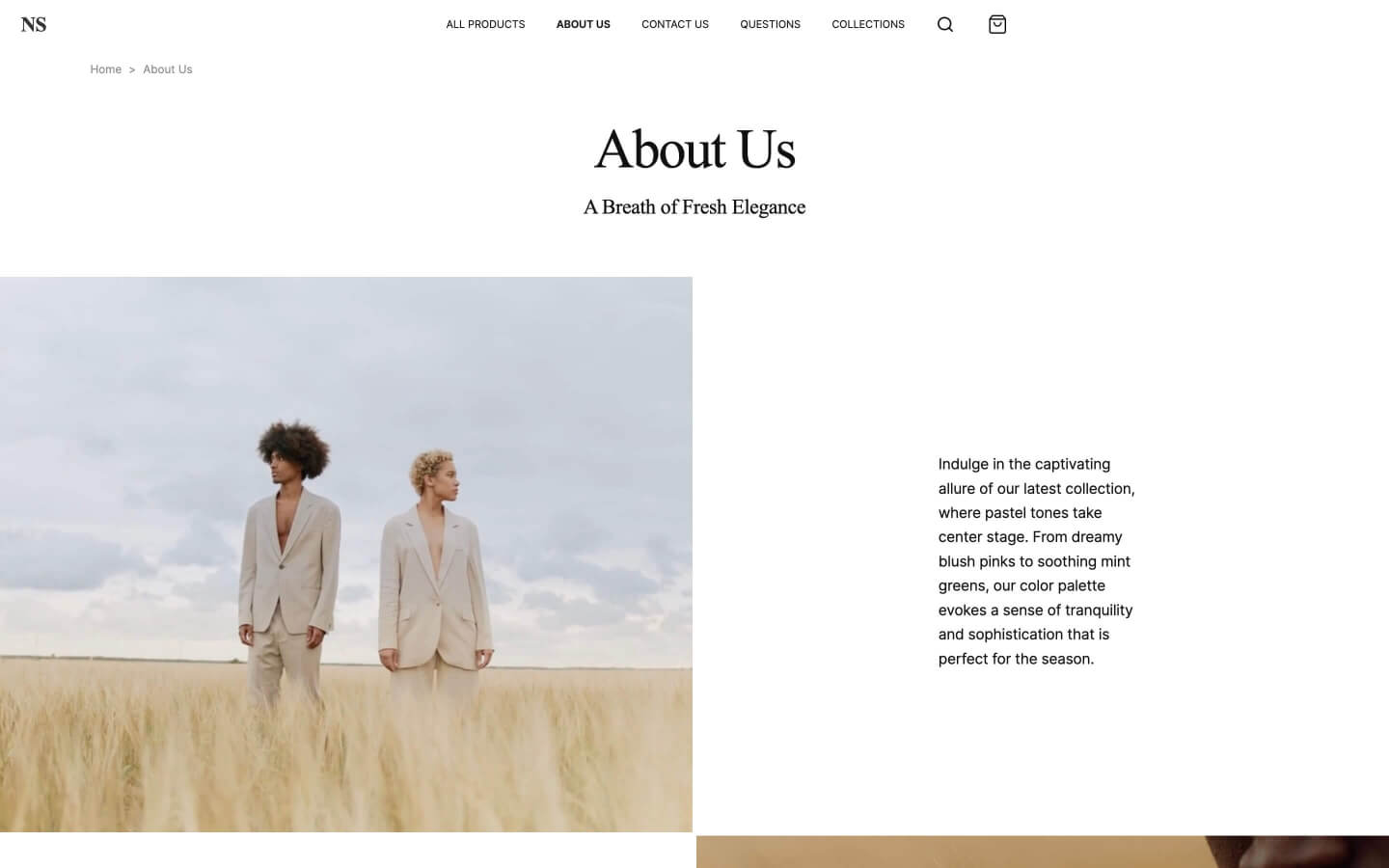 webflow store and shop template