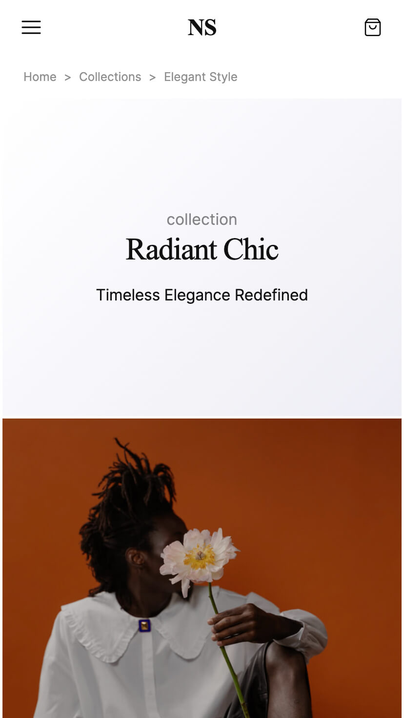 webflow store and shop template
