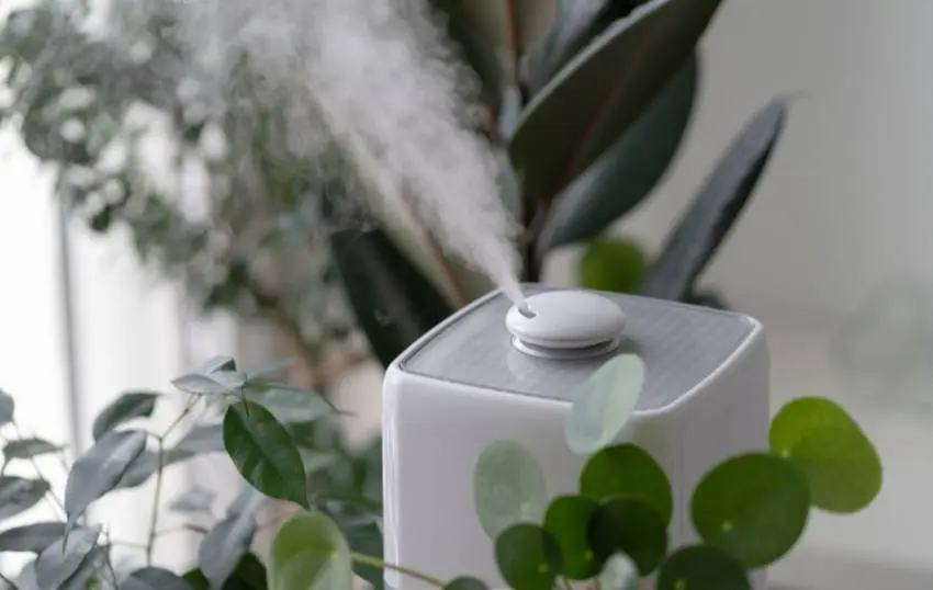 What should I set my humidifier to?