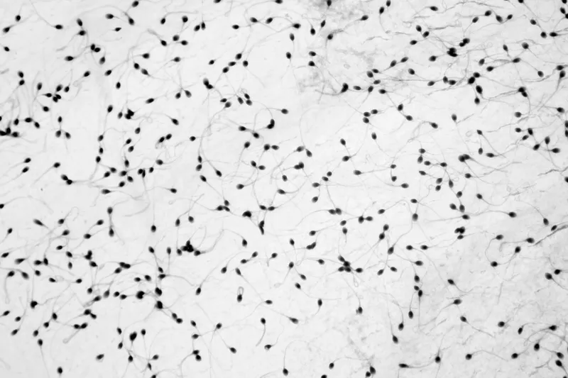 Confident middle-aged man with a friendly smile, standing in front of a stone wall wearing a dark denim jacket and casually crossing his arms.