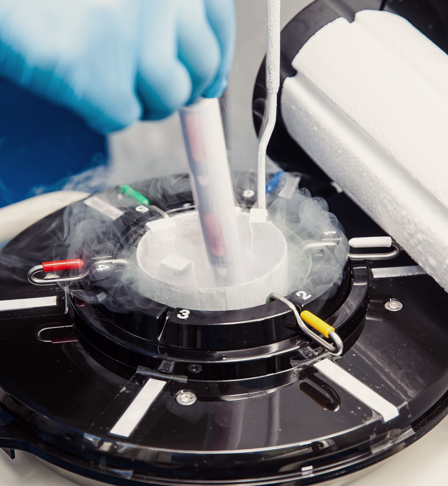 Gloved hand placing a vial into a cryostorage tank—secure, temperature-controlled sperm preservation using liquid nitrogen