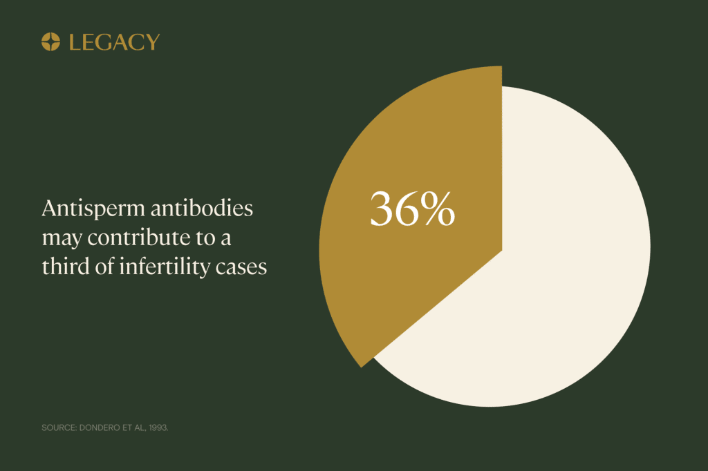 antisperm antibodies reduce fertility