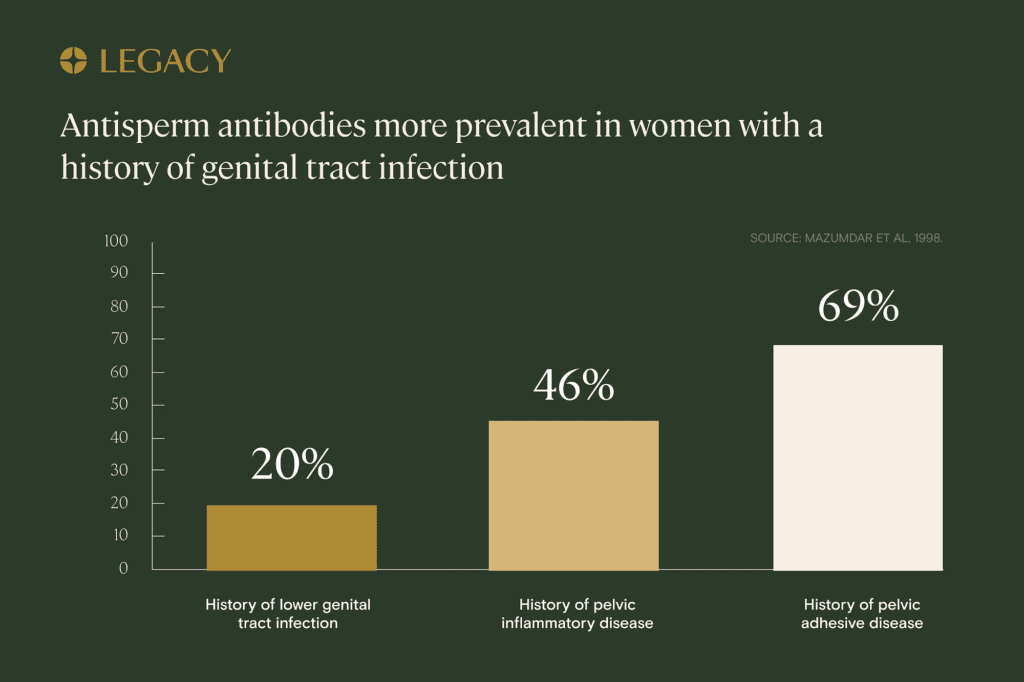 antisperm antibodies in the female reproductive system