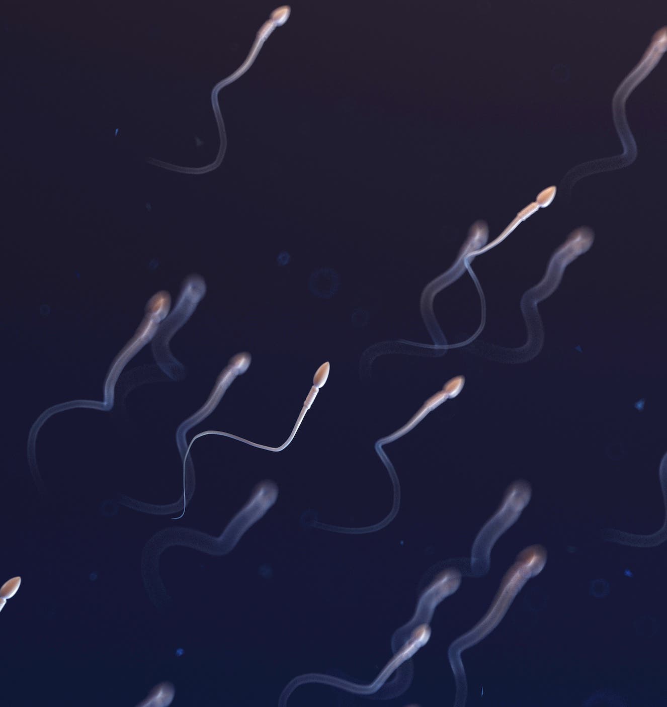 What is normal sperm motility?