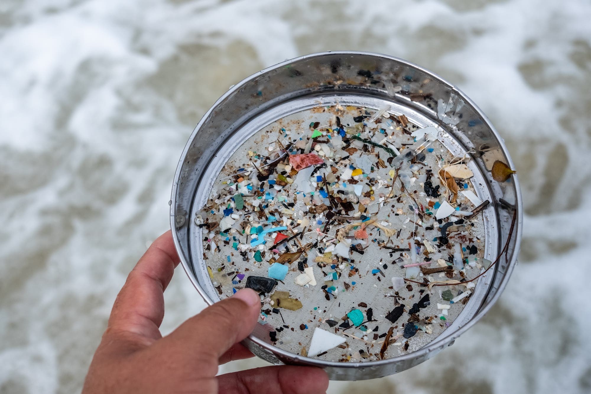 Research reveals microplastics present in all testicles studied