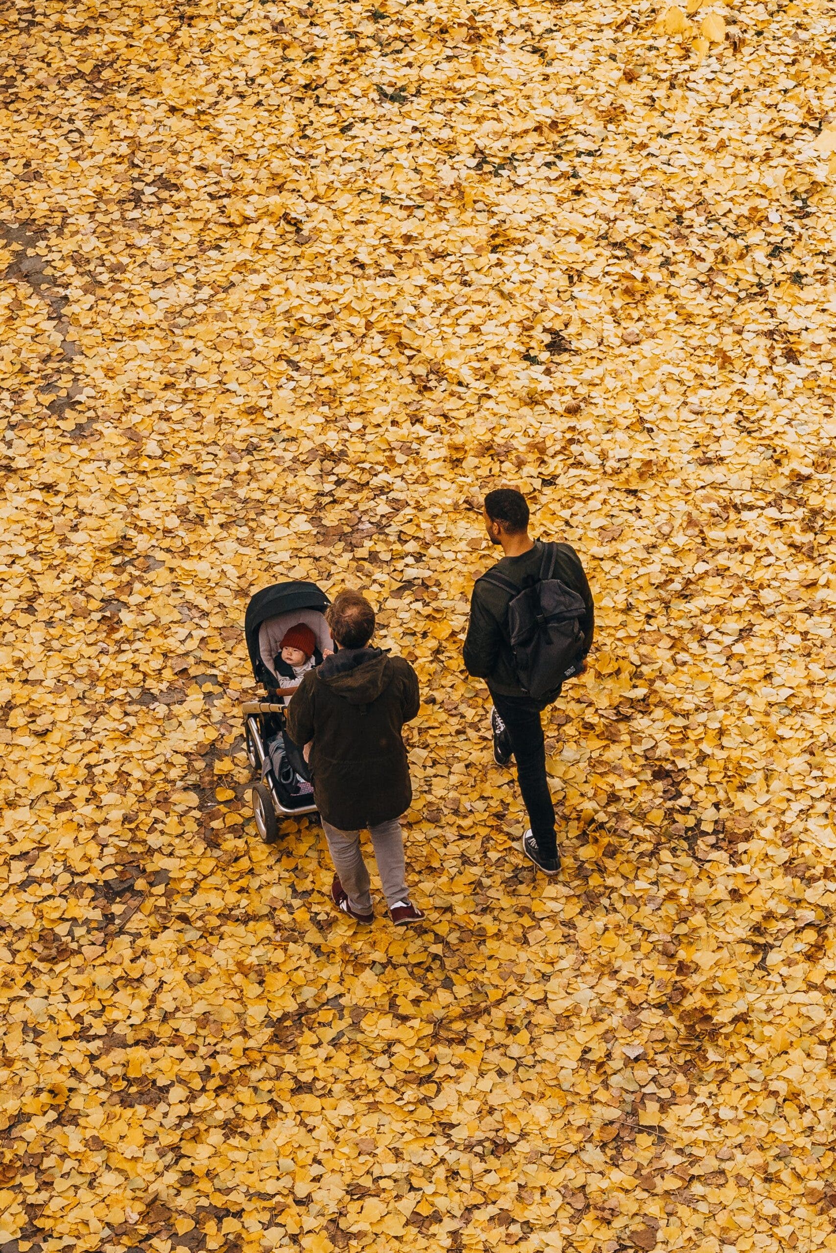 Why is September the most common birth month?