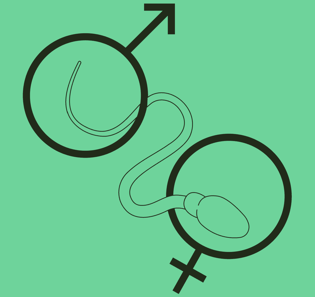 THE SPERM REPORT: Legacy & Carrot survey finds most people don’t know what affects male fertility