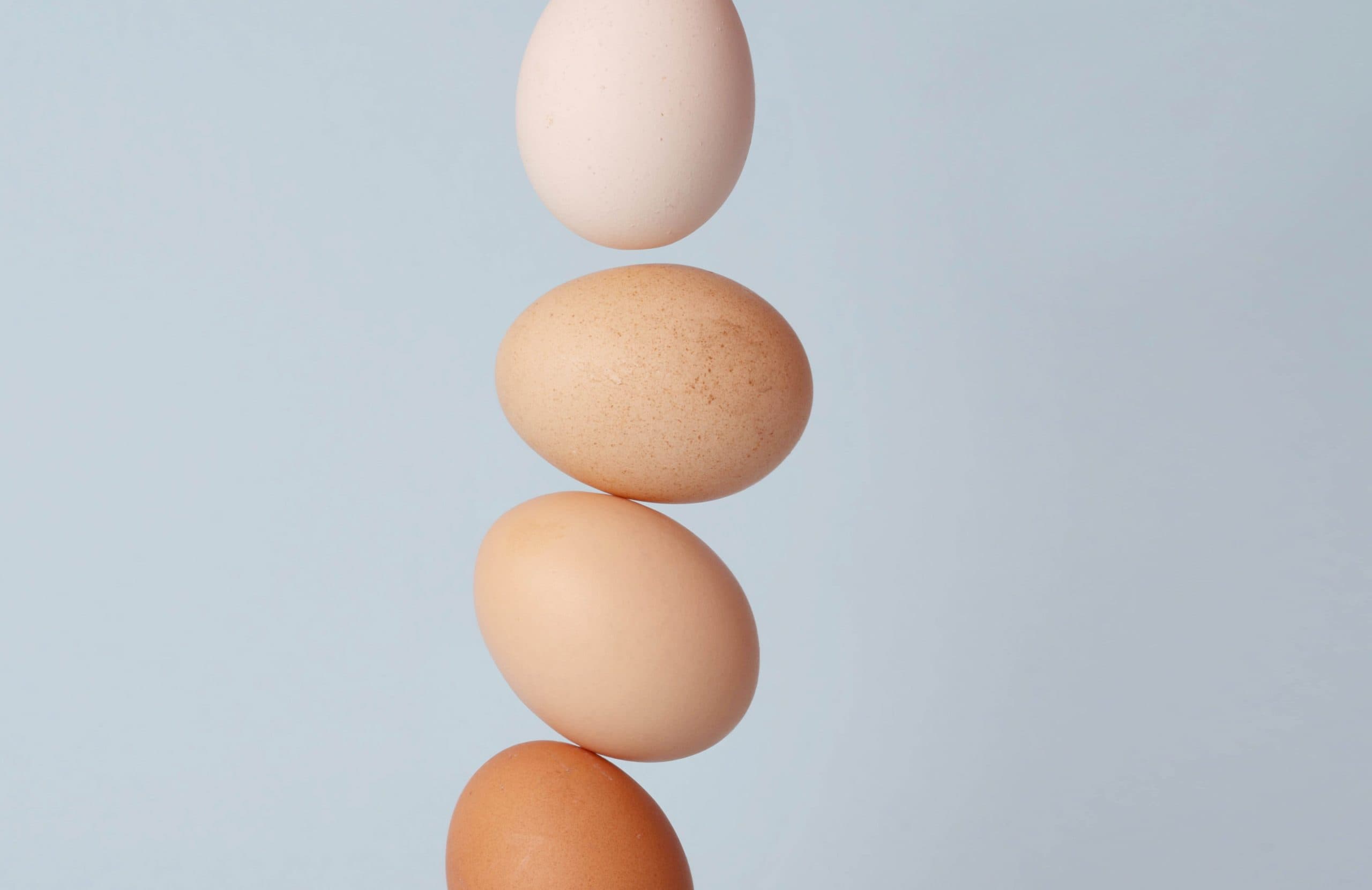 Does the sperm choose the egg — or does the egg choose the sperm?