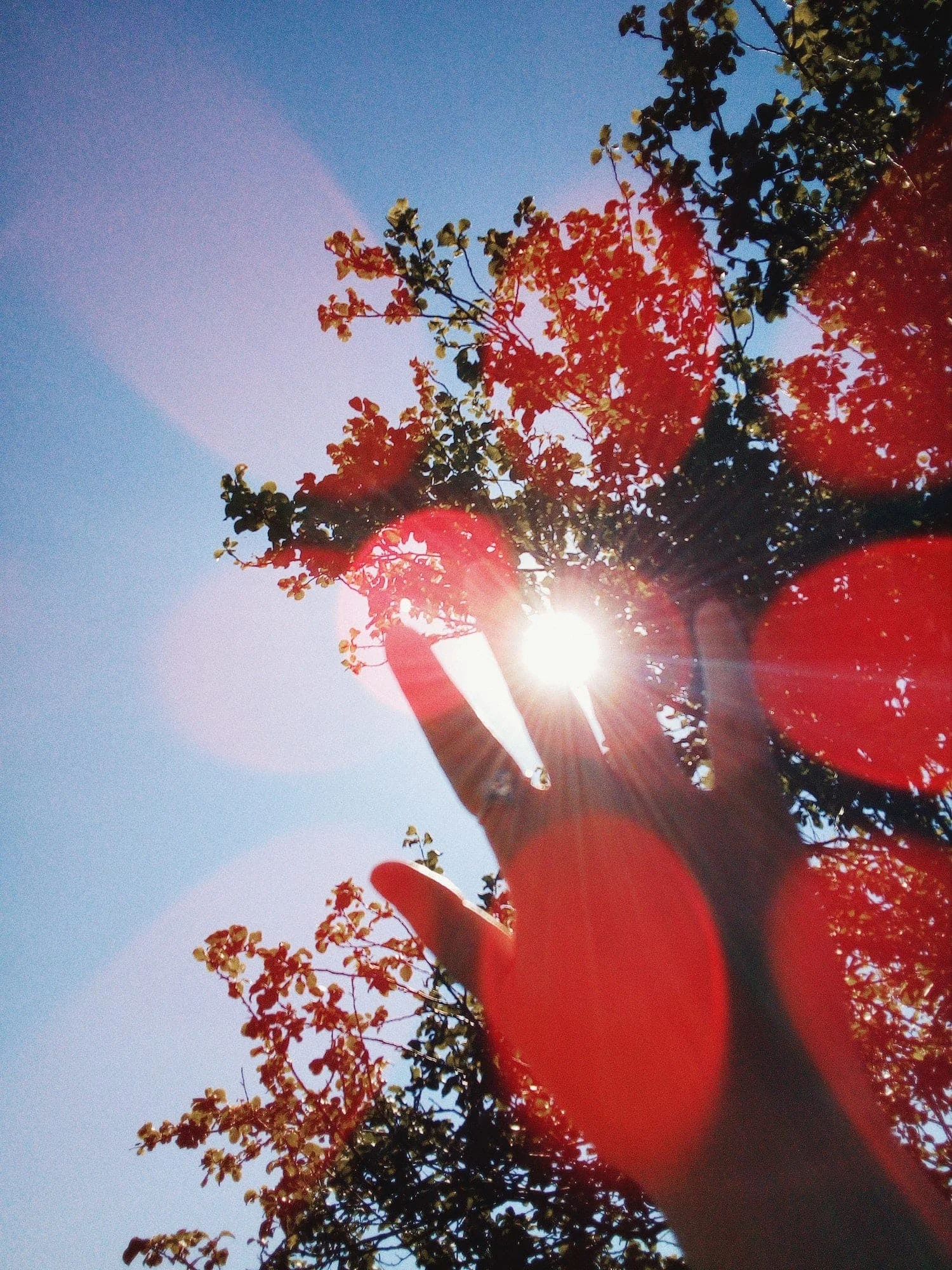 Vitamin D and male fertility