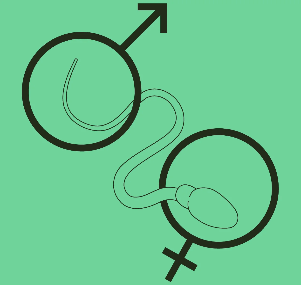 THE SPERM REPORT: Legacy & Carrot survey finds most people don’t know what affects male fertility