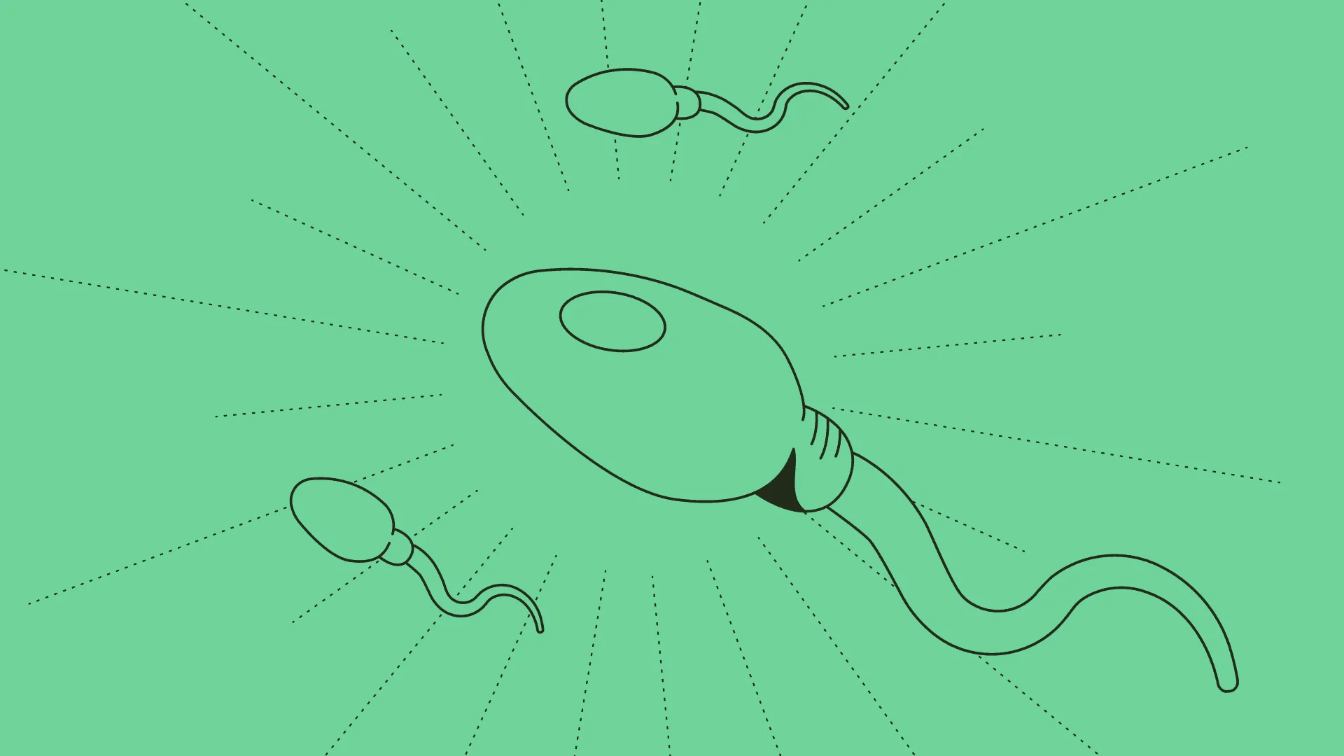 THE SPERM REPORT: Legacy & Carrot explore what Americans know about sperm in 2023